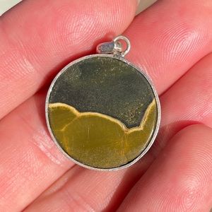 Picture jasper pendant